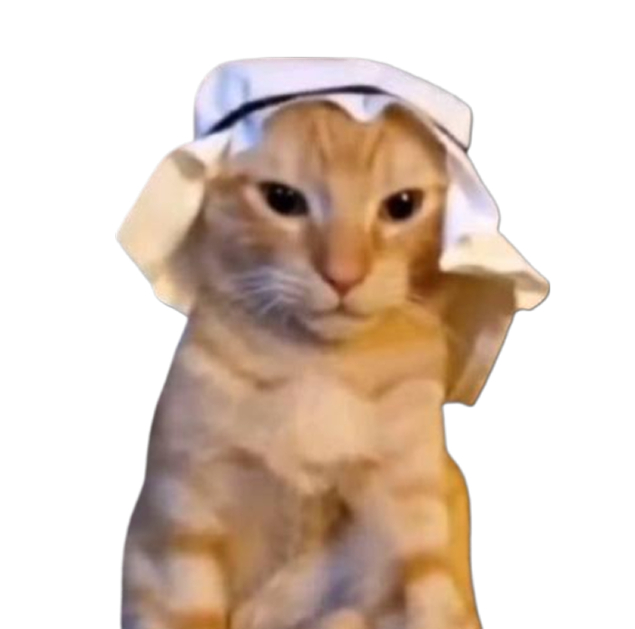 cat dressed like an arab